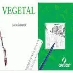Papel Vegetal A3 90/95 Grs