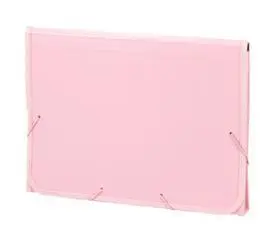 Acordeon Pp Soft Folio 13 Dptos Ribete Goma Rosa