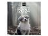 CALENDARIO 2024 PARED 30X30 CACHORROS