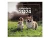 CALENDARIO 2024 PARED 30X30 PERROS Y GATOS