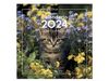 CALENDARIO 2024 PARED 30X30 GATITOS