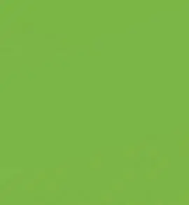 Lamina Goma Eva 20X30 Verde Claro