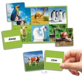 Juego Loto: 72 Animales