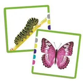 Juego Asociaciones