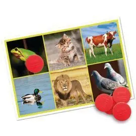 Juego Bingo: los Animales y la Naturaleza