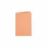 Subcarpeta Fº Elba 185Gr Naranja