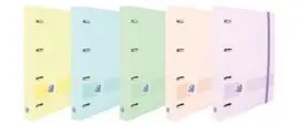 Carpeta Oxford Europeanbinder Polyf A5+ Recambio D