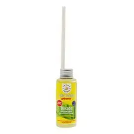 Expositor 6 Recambio Mikado Citronela 100Ml