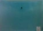 Sobre Broche A3 Pp Portadocumentos Azul