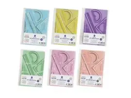 Set 4 Reglas Pastel con Funda Portadora Multitalad