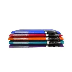 Carpeta Cargo 40 Fundas para 1000 Hojas Color Surt