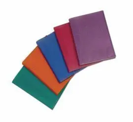 Carpeta 10 Fundas A4