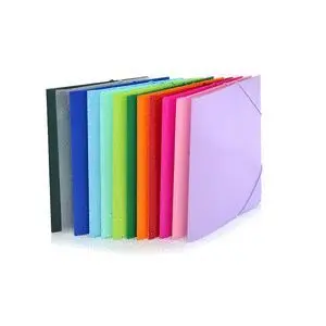 Carpeta Gomas A4 Pp Color Line Colores Surtidos