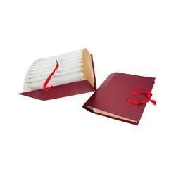 Carpeta Folio Fuelle Az /1-31 Negro