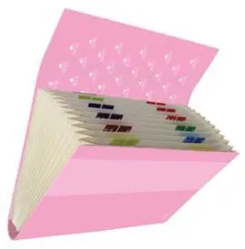 Carpeta Fuelle con Solapa con Cierre Colores Paste