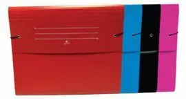 Carpeta Fuelle Acordeon Folio Surtidas