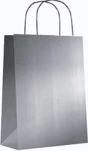 Bolsa Kraft Xs 18+8X24 Plata