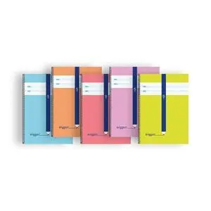 Bloc Folio Eriggan Cuadrovia 5Mm 80H 70G Cartoncil
