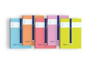 Bloc Folio Eriggan Cuadrovia 5Mm 80H 70G Cartoncil