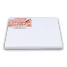 Bastidor Talens 100 Algodon 3F 27X22