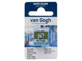 Pastilla Acuarela Van Gogh Verde Vejiga