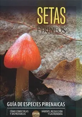 Revista - Pirineos