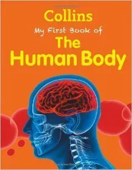 My First Book Of The Human Body