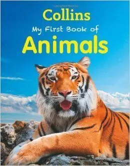 My First Book Of Animals