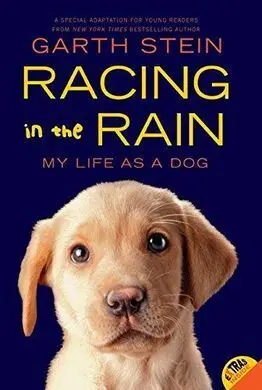 Racing In The Rain
