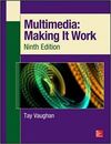 MULTIMEDIA: MAKING IT WORK