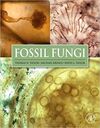 FOSSIL FUNGI