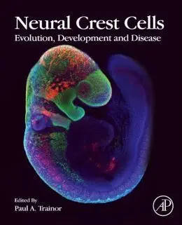 Neural Crest Cells. Evolution, Development And Disease