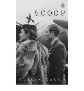 Scoop
