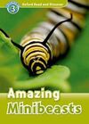 AMAZING MINIBEASTS LEVEL 3 READ AND DISCOVER