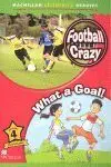What a Goal. football Crazy Nivel 4