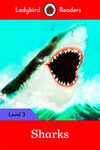 SHARKS (LB)