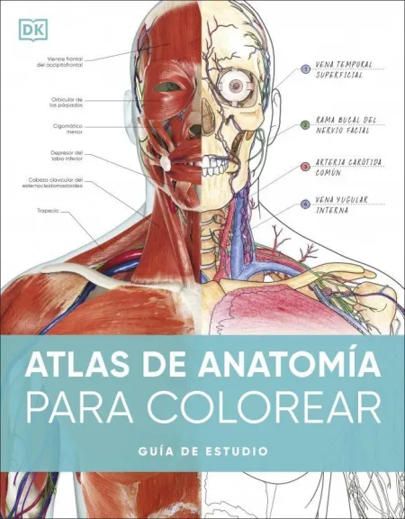 Atlas de Anatomia para Colorear