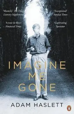 Imagine me Gone