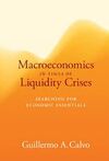 MACROECONOMICS IN TIMES OF LIQUIDITY CRISES. SEARCHING FOR ECONOMIC ESSENTIALS