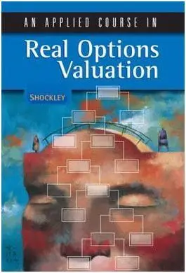 An Applied Course In Real Options Valuation