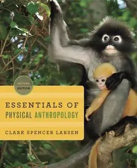Essentials Of Physical Anthropology: Discovering Our Origins