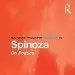 Spinoza On Politics