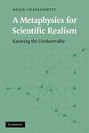 A METAPHYSICS FOR SCIENTIFIC REALISM