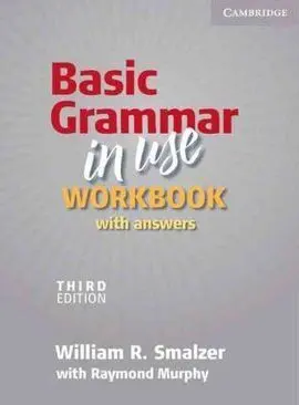 Basic Grammar In Use Workbook With Answers 3Rd Edition