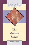 THE MEDIEVAL SPAINS