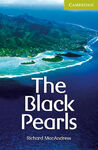THE BLACK PEARLS STARTER/BEGINNER