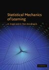 STATISTICAL MECHANICS OF LEARNING