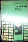 THE WORKING CLASS