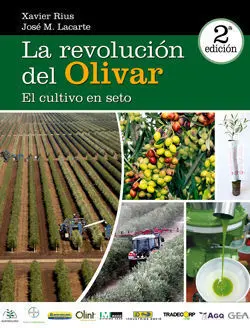 La Revolución del Olivar: el Cultivo en Seto