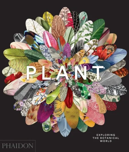 Plant - Eng